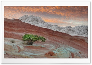 White Pocket - Vermilion Cliffs National Monument Ultra HD Wallpaper for 4K UHD Widescreen desktop, tablet & smartphone