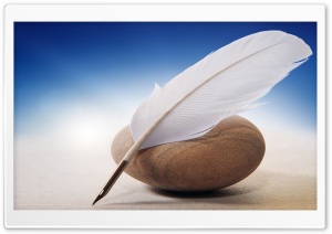 White Quill Ultra HD Wallpaper for 4K UHD Widescreen desktop, tablet & smartphone