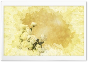White Roses Ultra HD Wallpaper for 4K UHD Widescreen desktop, tablet & smartphone