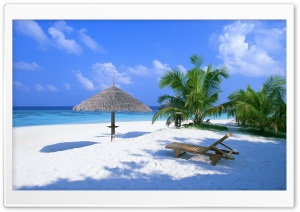White Sand Beach, Palm Trees, Umbrella Ultra HD Wallpaper for 4K UHD Widescreen desktop, tablet & smartphone