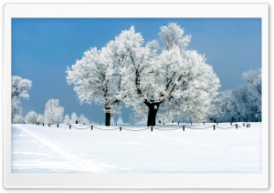 White Scenery Ultra HD Wallpaper for 4K UHD Widescreen desktop, tablet & smartphone
