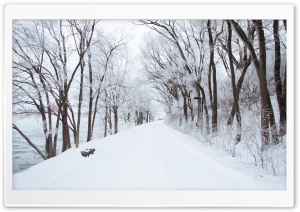 White Snowy Road Ultra HD Wallpaper for 4K UHD Widescreen desktop, tablet & smartphone