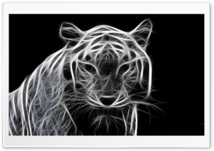 White Tiger 3D Ultra HD Wallpaper for 4K UHD Widescreen desktop, tablet & smartphone
