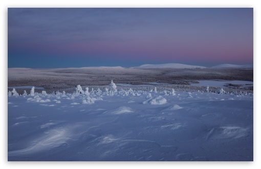 White Tranquility, Snowy Landscape in Finland UltraHD Wallpaper for UHD 16:9 ; HD 16:9 ; UltraWide 21:9 24:10 32:9 32:10 ; Widescreen 16:10 5:3 ; Fullscreen 4:3 5:4 3:2 ; Tablet 1:1 ; Mobile 9:16 9:19.5 9:20 9:21 9:22 10:16 2:3 3:5 3:4 ; Dual 16:10 5:3 16:9 4:3 5:4 3:2 ;