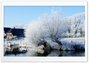 White Trees Along The Kromme Rijn River Ultra HD Wallpaper for 4K UHD Widescreen desktop, tablet & smartphone