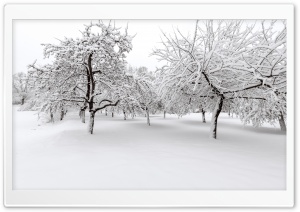 White Winter Landscape Ultra HD Wallpaper for 4K UHD Widescreen Desktop, Lockscreen, Screensaver, TV, Tablet, Smartphone