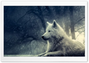White Wolf Painting Ultra HD Wallpaper for 4K UHD Widescreen desktop, tablet & smartphone