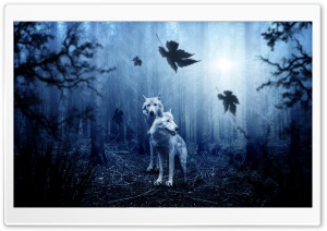 White Wolves, Forest, Autumn Ultra HD Wallpaper for 4K UHD Widescreen desktop, tablet & smartphone