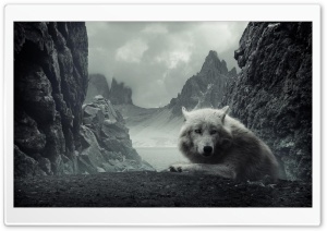 WhiteWolf 4K UHD Wallpaper for Widescreen and UltraWide Desktop, UltraHD TV, Smartphone, Tablet