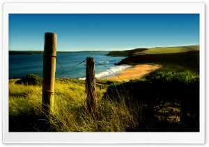 Wild Beach Ultra HD Wallpaper for 4K UHD Widescreen desktop, tablet & smartphone