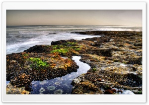 Wild Beach 6 4K UHD Wallpaper for Widescreen and UltraWide Desktop, UltraHD TV, Smartphone, Tablet