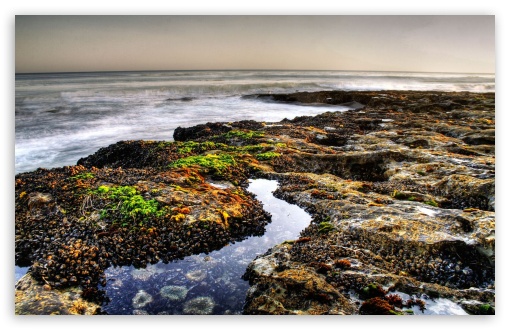 Wild Beach 6 UltraHD Wallpaper for HD 16:9 ; Widescreen 16:10 5:3 ; Fullscreen 4:3 5:4 3:2 ; Tablet 1:1 ; Mobile 3:5 3:4 ;