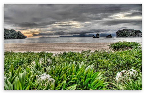 Wild Beach HDR UltraHD Wallpaper for Wide 16:10 5:3 Widescreen WHXGA WQXGA WUXGA WXGA WGA ; 8K UHD TV 16:9 Ultra High Definition 2160p 1440p 1080p 900p 720p ; Standard 4:3 5:4 3:2 Fullscreen UXGA XGA SVGA QSXGA SXGA DVGA HVGA HQVGA ( Apple PowerBook G4 iPhone 4 3G 3GS iPod Touch ) ; Tablet 1:1 ; iPad 1/2/Mini ; Mobile 4:3 5:3 3:2 16:9 5:4 - UXGA XGA SVGA WGA DVGA HVGA HQVGA ( Apple PowerBook G4 iPhone 4 3G 3GS iPod Touch ) 2160p 1440p 1080p 900p 720p QSXGA SXGA ;