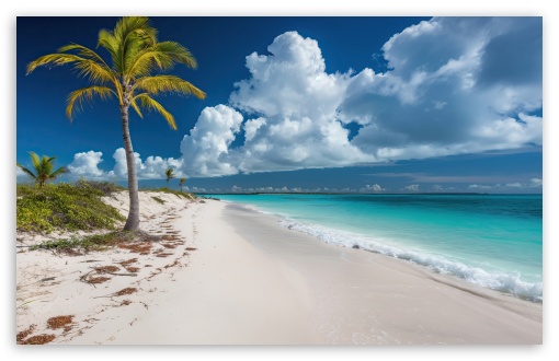 Wild Beach with Fine Sand, Turquoise Sea UltraHD Wallpaper for UHD 16:9 ; HD 16:9 ; UltraWide 21:9 24:10 ; Widescreen 16:10 5:3 ; Fullscreen 4:3 5:4 3:2 ; Tablet 1:1 ;