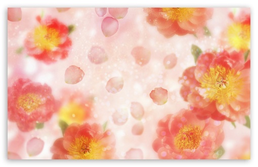 Wild Roses UltraHD Wallpaper for HD 16:9 ; Widescreen 16:10 5:3 ; Fullscreen 3:2 ;