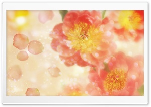 Wild Roses 4 4K UHD Wallpaper for Widescreen and UltraWide Desktop, UltraHD TV, Smartphone, Tablet