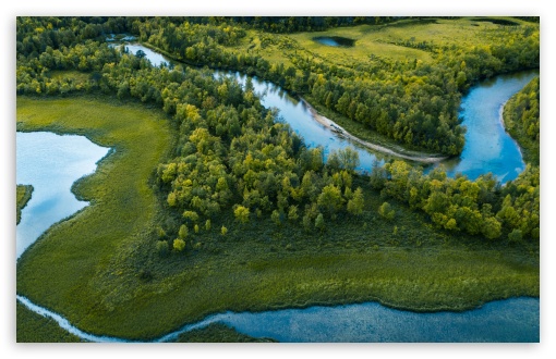 Winding River Through Green Forest UltraHD Wallpaper for UHD 16:9 ; HD 16:9 ; UltraWide 21:9 24:10 32:9 32:10 ; Widescreen 16:10 ; Tablet 1:1 ; Dual 16:10 16:9 ;