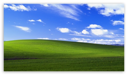 Windows XP Bliss UltraHD Wallpaper for UHD 16:9 ; HD 16:9 ;