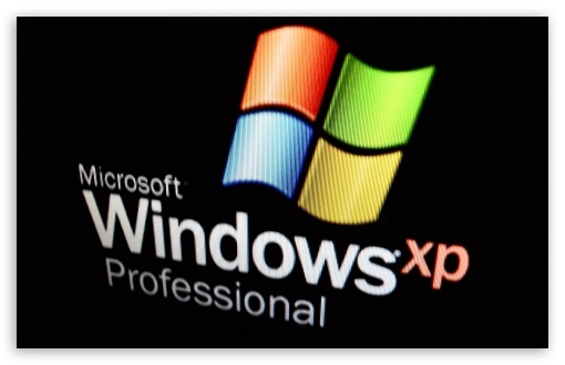 windows xp professional logo