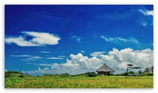 Winds in lawns UltraHD Wallpaper for HD 16:9 ;