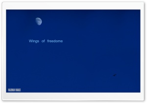 Wings of Freedom Ultra HD Wallpaper for 4K UHD Widescreen desktop, tablet & smartphone