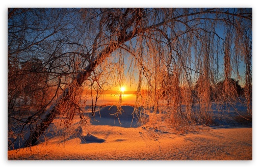 Winter UltraHD Wallpaper for Widescreen 16:10 ;