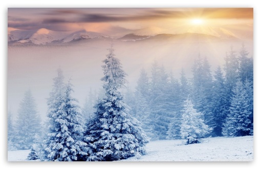 Winter UltraHD Wallpaper for HD 16:9 ; Widescreen 16:10 5:3 ; Fullscreen 4:3 5:4 3:2 ; Tablet 1:1 ; Mobile 3:5 3:4 ;