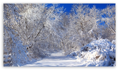 winter UltraHD Wallpaper for HD 16:9 ;