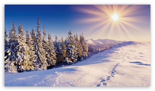 Winter UltraHD Wallpaper for HD 16:9 ;