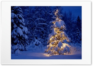 Winter - Christmas 4K UHD Wallpaper for Widescreen and UltraWide Desktop, UltraHD TV, Smartphone, Tablet