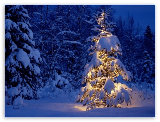 Winter - Christmas Ultra HD Desktop Background Wallpaper for