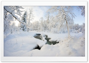Winter, Alaska Ultra HD Wallpaper for 4K UHD Widescreen desktop, tablet & smartphone