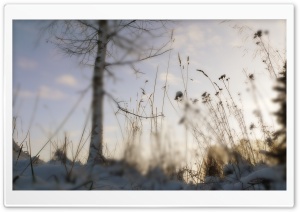Winter Blur Ultra HD Wallpaper for 4K UHD Widescreen desktop, tablet & smartphone