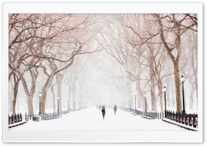 Winter, Central Park, New York City Ultra HD Wallpaper for 4K UHD Widescreen desktop, tablet & smartphone