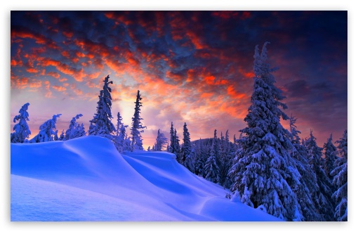 wallpaper desktop widescreen winter