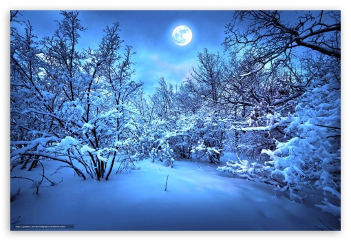 winter cool theme UltraHD Wallpaper for Fullscreen 3:2 DVGA HVGA HQVGA ( Apple PowerBook G4 iPhone 4 3G 3GS iPod Touch ) ;