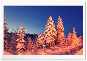 Winter Evening Ultra HD Wallpaper for 4K UHD Widescreen desktop, tablet & smartphone