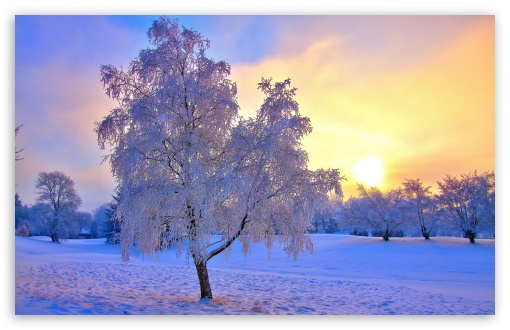 Winter Evening Light UltraHD Wallpaper for Wide 16:10 5:3 Widescreen WHXGA WQXGA WUXGA WXGA WGA ; 8K UHD TV 16:9 Ultra High Definition 2160p 1440p 1080p 900p 720p ; UHD 16:9 2160p 1440p 1080p 900p 720p ; Standard 4:3 5:4 3:2 Fullscreen UXGA XGA SVGA QSXGA SXGA DVGA HVGA HQVGA ( Apple PowerBook G4 iPhone 4 3G 3GS iPod Touch ) ; Tablet 1:1 ; iPad 1/2/Mini ; Mobile 4:3 5:3 3:2 16:9 5:4 - UXGA XGA SVGA WGA DVGA HVGA HQVGA ( Apple PowerBook G4 iPhone 4 3G 3GS iPod Touch ) 2160p 1440p 1080p 900p 720p QSXGA SXGA ;