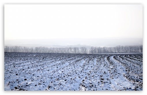 Winter Field UltraHD Wallpaper for 8K UHD TV 16:9 Ultra High Definition 2160p 1440p 1080p 900p 720p ; Widescreen 16:10 5:3 WHXGA WQXGA WUXGA WXGA WGA ; Fullscreen 4:3 5:4 3:2 UXGA XGA SVGA QSXGA SXGA DVGA HVGA HQVGA ( Apple PowerBook G4 iPhone 4 3G 3GS iPod Touch ) ; Tablet 1:1 ; Mobile 3:5 3:4 - ; Dual 16:10 5:3 16:9 4:3 5:4 WHXGA WQXGA WUXGA WXGA WGA 2160p 1440p 1080p 900p 720p UXGA XGA SVGA QSXGA SXGA ;