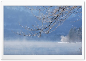 Winter Fog, Lake Ultra HD Wallpaper for 4K UHD Widescreen desktop, tablet & smartphone