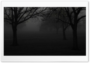 Winter Fog Light Christmas Ultra HD Wallpaper for 4K UHD Widescreen desktop, tablet & smartphone