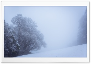 Winter Fog, Snowy Trees, Landscape Ultra HD Wallpaper for 4K UHD Widescreen desktop, tablet & smartphone