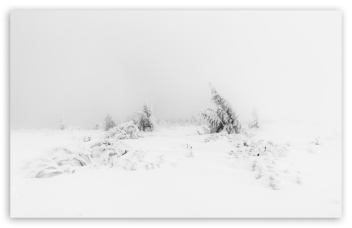 Winter Fog White Snow Trees Aesthetic UltraHD Wallpaper for Wide 16:10 5:3 Widescreen WHXGA WQXGA WUXGA WXGA WGA ; UltraWide 21:9 ; 8K UHD TV 16:9 Ultra High Definition 2160p 1440p 1080p 900p 720p ; Standard 4:3 5:4 3:2 Fullscreen UXGA XGA SVGA QSXGA SXGA DVGA HVGA HQVGA ( Apple PowerBook G4 iPhone 4 3G 3GS iPod Touch ) ; Smartphone 16:9 3:2 5:3 2160p 1440p 1080p 900p 720p DVGA HVGA HQVGA ( Apple PowerBook G4 iPhone 4 3G 3GS iPod Touch ) WGA ; Tablet 1:1 ; iPad 1/2/Mini ; Mobile 4:3 5:3 3:2 16:9 5:4 - UXGA XGA SVGA WGA DVGA HVGA HQVGA ( Apple PowerBook G4 iPhone 4 3G 3GS iPod Touch ) 2160p 1440p 1080p 900p 720p QSXGA SXGA ; Dual 16:10 5:3 16:9 4:3 5:4 3:2 WHXGA WQXGA WUXGA WXGA WGA 2160p 1440p 1080p 900p 720p UXGA XGA SVGA QSXGA SXGA DVGA HVGA HQVGA ( Apple PowerBook G4 iPhone 4 3G 3GS iPod Touch ) ;