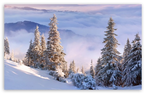 Winter Forest On Slope UltraHD Wallpaper for 8K UHD TV 16:9 Ultra High Definition 2160p 1440p 1080p 900p 720p ; Widescreen 16:10 5:3 WHXGA WQXGA WUXGA WXGA WGA ; Fullscreen 4:3 5:4 3:2 UXGA XGA SVGA QSXGA SXGA DVGA HVGA HQVGA ( Apple PowerBook G4 iPhone 4 3G 3GS iPod Touch ) ; Tablet 1:1 ; Mobile 3:5 3:4 - ; Dual 16:10 5:3 16:9 4:3 5:4 WHXGA WQXGA WUXGA WXGA WGA 2160p 1440p 1080p 900p 720p UXGA XGA SVGA QSXGA SXGA ;