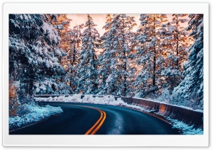 Winter Forest Road Ultra HD Wallpaper for 4K UHD Widescreen desktop, tablet & smartphone