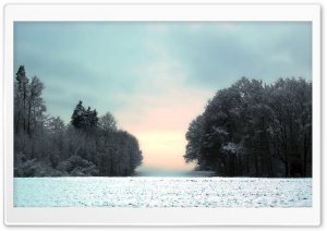 Winter Glow Ultra HD Wallpaper for 4K UHD Widescreen desktop, tablet & smartphone