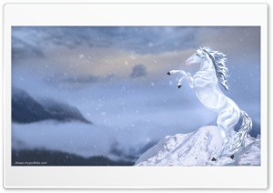 Winter Horse Ultra HD Wallpaper for 4K UHD Widescreen desktop, tablet & smartphone
