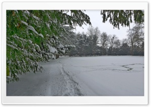 Winter im Schlosspark-Paffendorf Ultra HD Wallpaper for 4K UHD Widescreen desktop, tablet & smartphone