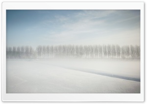 Winter in Holland Ultra HD Wallpaper for 4K UHD Widescreen desktop, tablet & smartphone