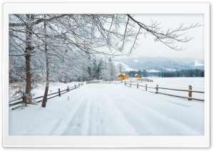 Winter In The Carpathians Ultra HD Wallpaper for 4K UHD Widescreen desktop, tablet & smartphone